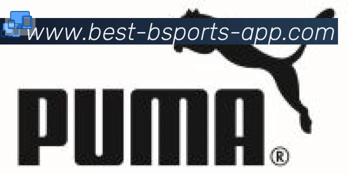 bsports体育合作伙伴
